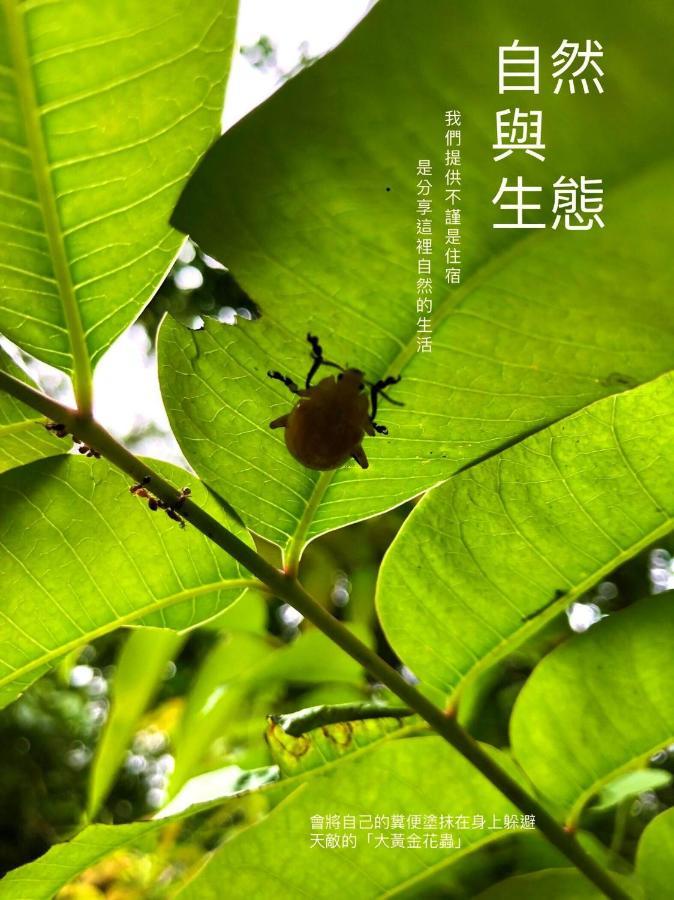 慢水山丘民宿 Slow Water Hill Yuemei Buitenkant foto