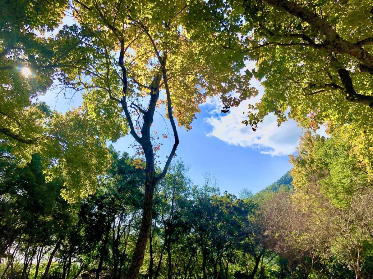 慢水山丘民宿 Slow Water Hill Yuemei Buitenkant foto